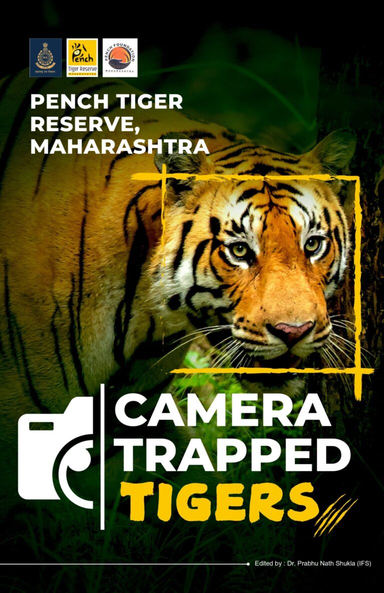 GalCamera Traped Tigers Bookletlery Title Here