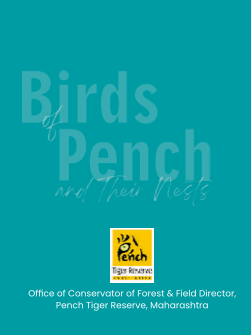 Birds of Pench and their Nests