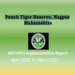 MSTrIPES Implementation Report April 2020 To March2021