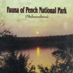 Fauna of Pench National Park, Maharashtra