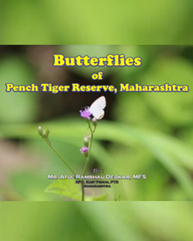 Butterflies of Pench Tiger Reserve, Maharashtra