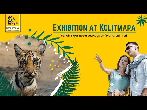 Canvas Paintaing Exhibition at Kolitmara | Pench 