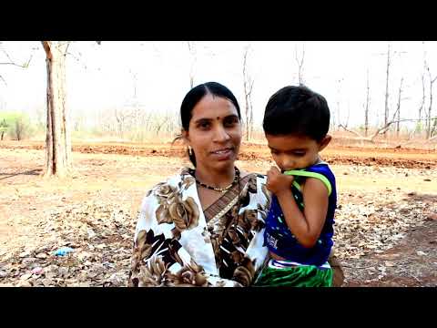 पेंच व्याघ्र संवर्धन प्रतिष्ठान - Pench Tiger Reserve