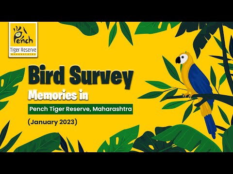 Bird Survey Memories