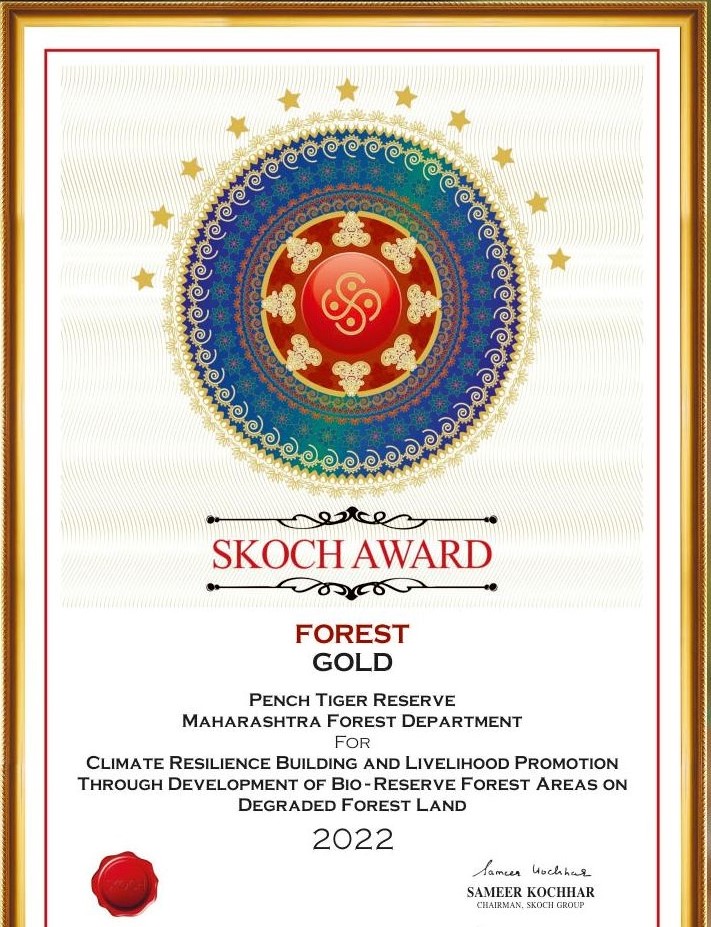 Skoch Award